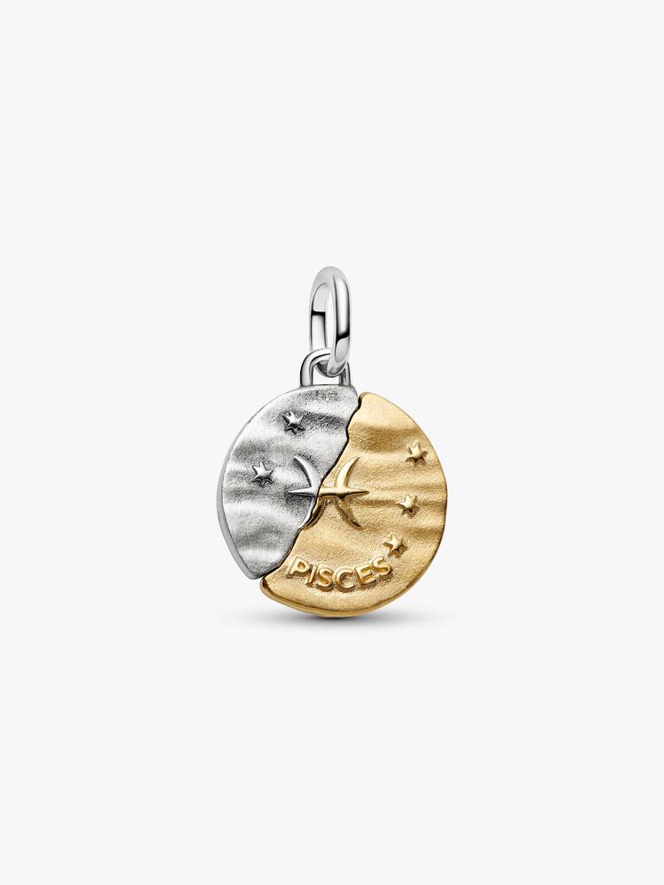 Charm Medallion Pesci Argento Sterling 925, Esclusiva lega metallica rifinita in Oro