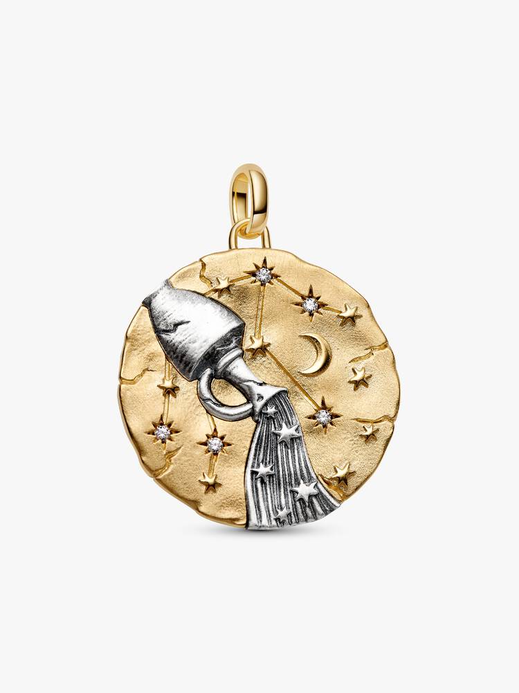 Charm Medallion XL Acquario "Omnia Mutantur" Argento Sterling 925, Esclusiva lega metallica rifinita in Oro
