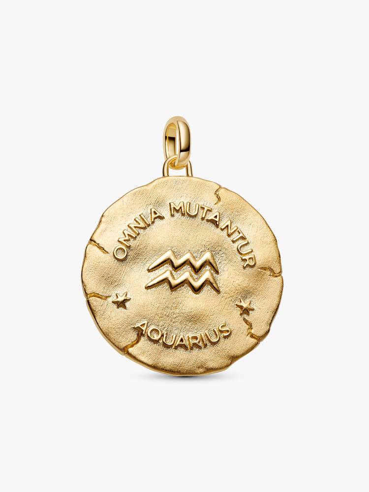 Charm Medallion XL Acquario "Omnia Mutantur" Argento Sterling 925, Esclusiva lega metallica rifinita in Oro