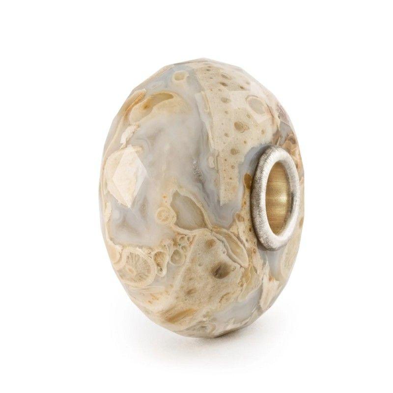 Beads Legno Fossile