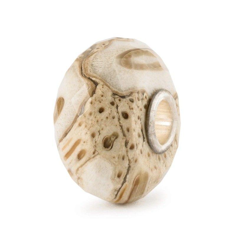 Beads Legno Fossile