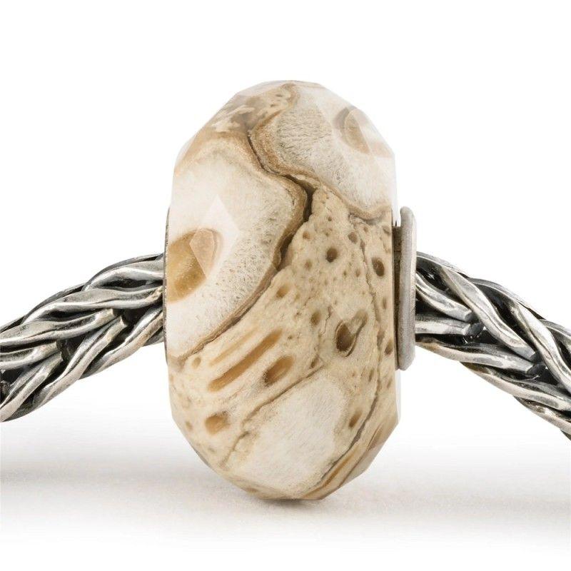 Beads Legno Fossile