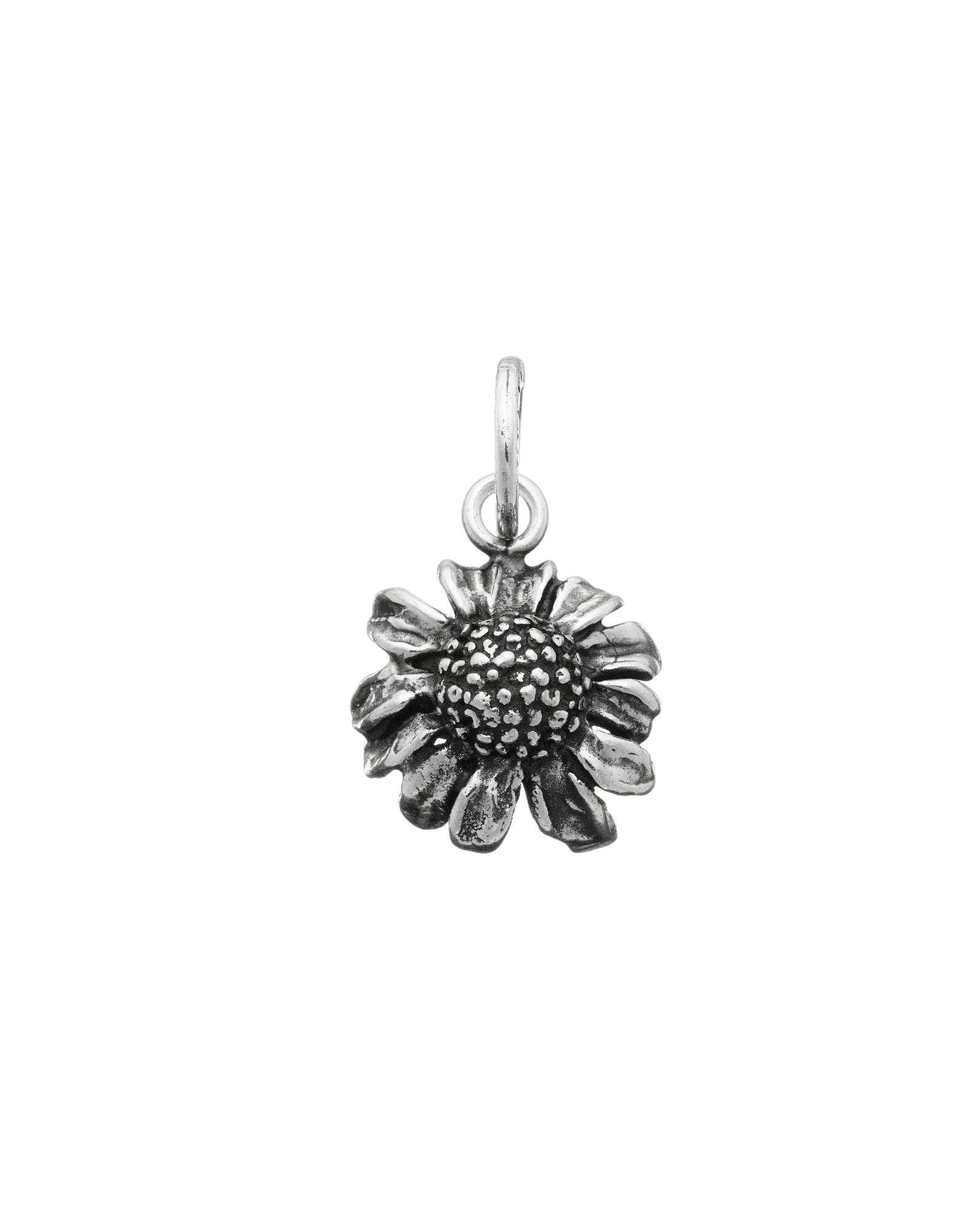 Charm Camomilla