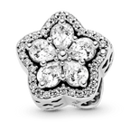 Charm Fiocco di Neve