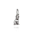 Charm Gatto