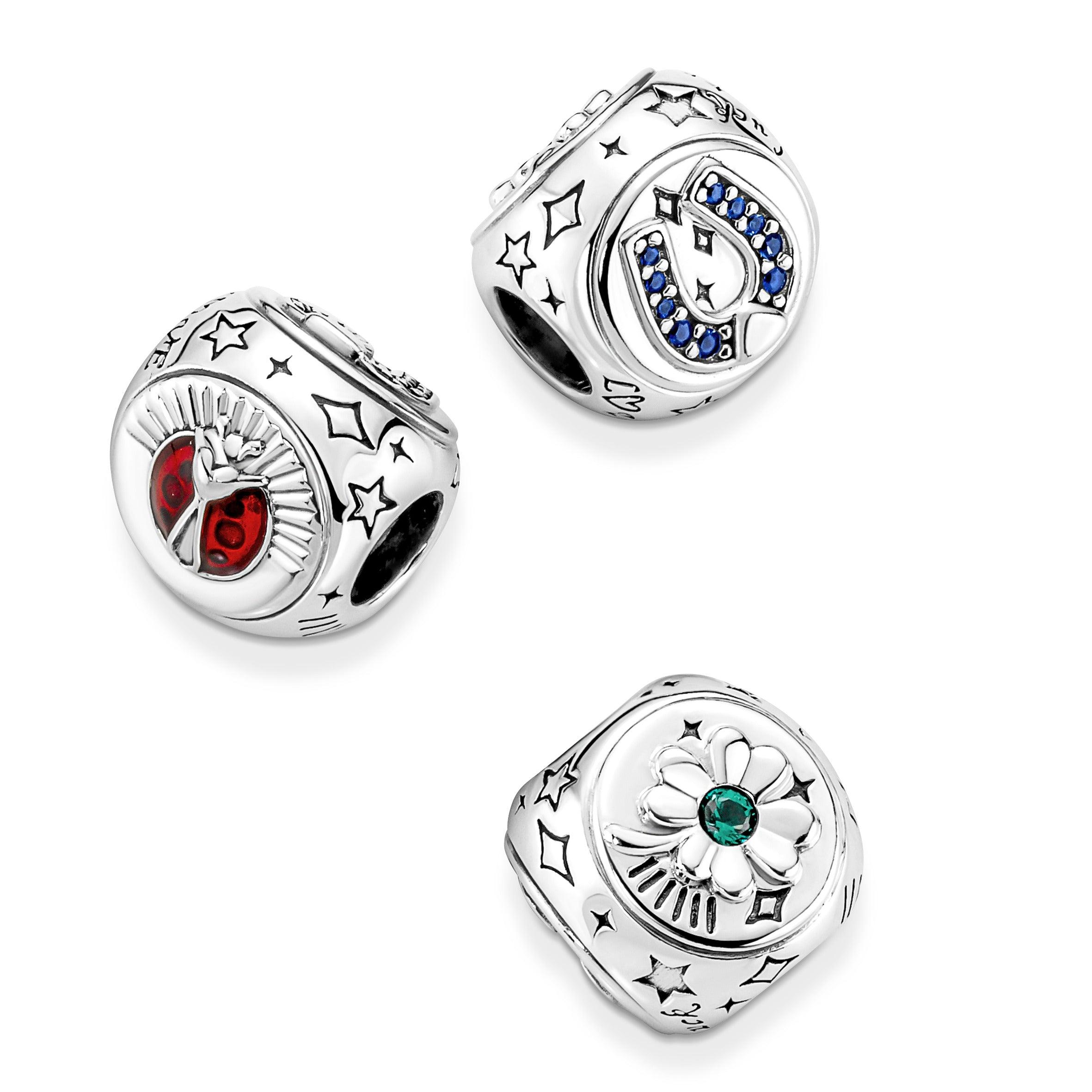 Charm Simboli della Fortuna