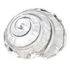 Chioccola di Mare SCS 2007 – Swarovski – Ref. 880693