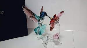 Colibrì