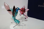 Colibrì