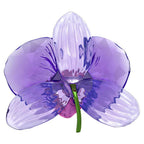 Idyllia SCS Petalo di Orchidea